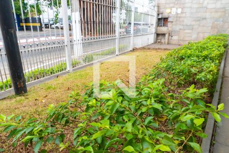 Casa à venda com 236m², 6 quartos e sem vagaJardim