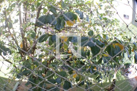 Quarto 1 de apartamento à venda com 2 quartos, 54m² em Taquara, Rio de Janeiro