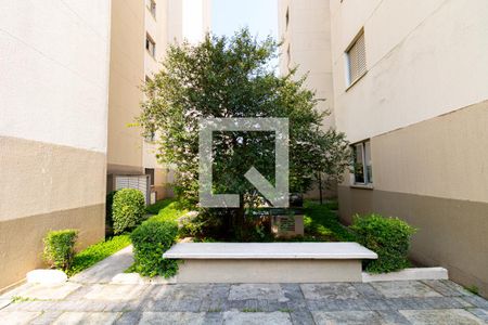 Apartamento à venda com 60m², 3 quartos e 1 vagaÁrea comum