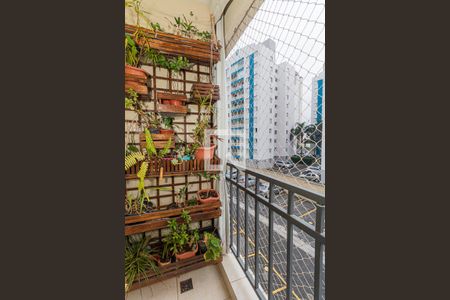 Varanda da Sala de apartamento para alugar com 3 quartos, 60m² em Vila Guilherme, São Paulo