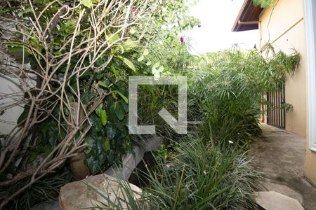 Casa para alugar com 800m², 5 quartos e 4 vagasQuintal