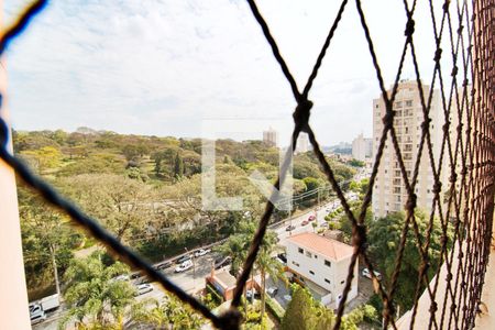 Apartamento à venda com 76m², 3 quartos e 2 vagasVista da Suíte 
