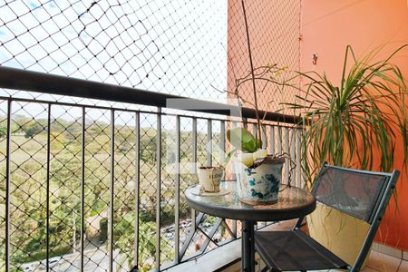 Varanda da Sala de apartamento à venda com 3 quartos, 76m² em Jardim Vazani, São Paulo
