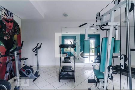 Área comum - Academia de apartamento para alugar com 2 quartos, 50m² em Vila Moreira, São Paulo
