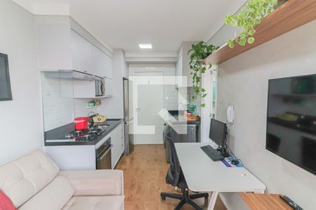 Apartamento para alugar com 31m², 1 quarto e sem vagaSala / Cozinha / Lavanderia