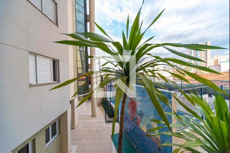 Apartamento para alugar com 81m², 3 quartos e 1 vagaVista do Quarto 3