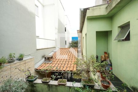 Casa à venda com 250m², 3 quartos e 2 vagasVista do terraço