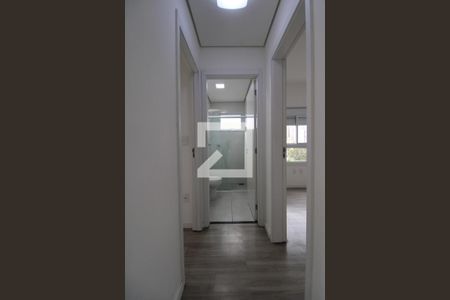 Corredor de apartamento para alugar com 2 quartos, 56m² em Vila Itapura, Campinas