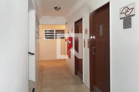 Apartamento para alugar com 49m², 1 quarto e sem vagaÁrea comum