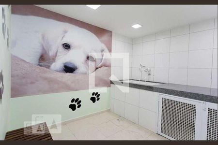 Apartamento para alugar com 47m², 2 quartos e 1 vaga Apartamento para alugar com 47m², 2 quartos e 1 vagaEspaço Pet