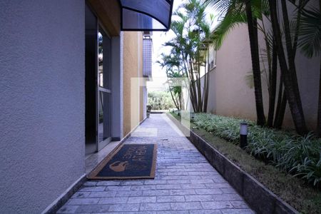 Apartamento para alugar com 75m², 3 quartos e 2 vagas Apartamento para alugar com 75m², 3 quartos e 2 vagasJardim