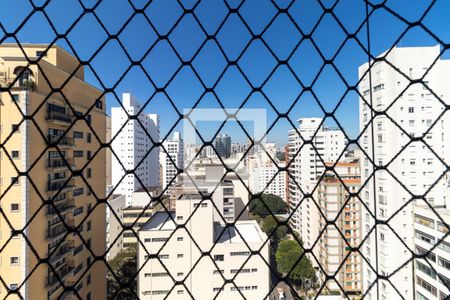 Apartamento para alugar com 229m², 4 quartos e 4 vagas Apartamento para alugar com 229m², 4 quartos e 4 vagasVista da Varanda