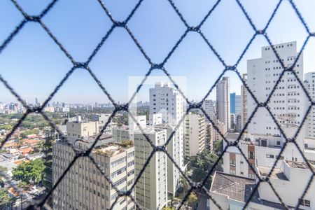 Apartamento para alugar com 229m², 4 quartos e 4 vagas Apartamento para alugar com 229m², 4 quartos e 4 vagasVista da Varanda