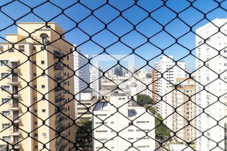 Apartamento para alugar com 229m², 4 quartos e 4 vagas Apartamento para alugar com 229m², 4 quartos e 4 vagasVista da Suíte 3