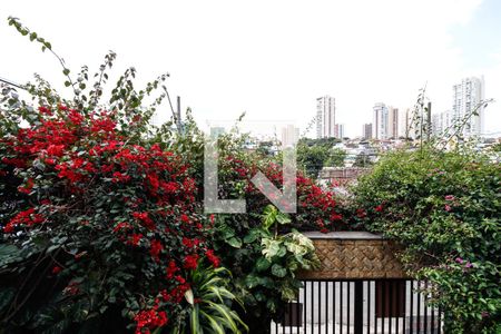 Casa à venda com 352m², 5 quartos e 6 vagasVista