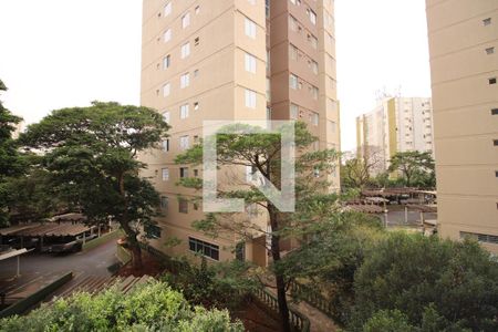 Sala - vista de apartamento para alugar com 3 quartos, 50m² em Jardim Paulista, Ribeirão Preto