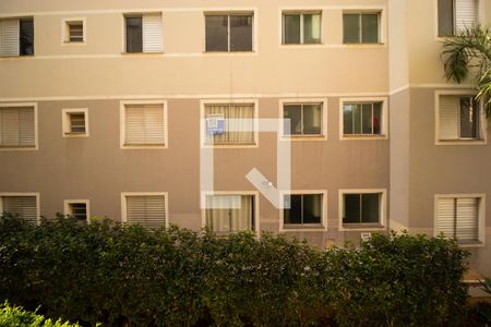 Vista da Sala de apartamento para alugar com 2 quartos, 48m² em Loteamento Parque São Martinho, Campinas