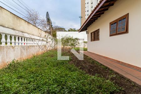 Casa para alugar com 300m², 3 quartos e 6 vagasQuintal - Jardim