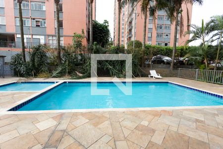 Apartamento à venda com 65m², 2 quartos e 1 vagaÁrea comum - Piscina