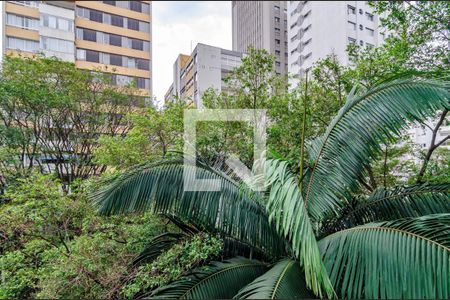 Vista de apartamento para alugar com 2 quartos, 74m² em Jardim Paulista, São Paulo