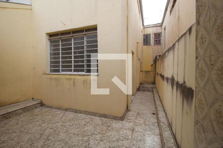 Casa para alugar com 240m², 3 quartos e 5 vagasQuintal