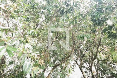 Apartamento à venda com 68m², 3 quartos e 1 vagaQuarto 2