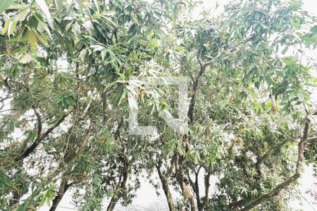 Apartamento à venda com 68m², 3 quartos e 1 vagaVista do Quarto 1