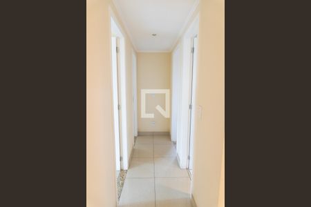 Apartamento para alugar com 81m², 3 quartos e 1 vaga Apartamento para alugar com 81m², 3 quartos e 1 vagaCorredor