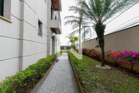 Área comum de apartamento para alugar com 3 quartos, 70m² em Vila Matilde, São Paulo