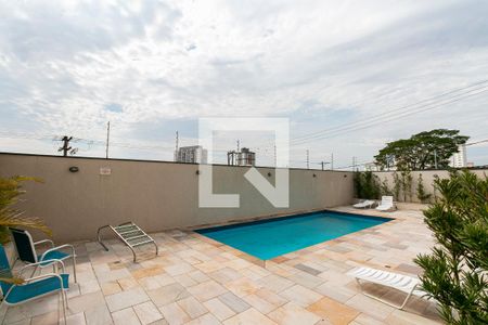 Área comum - Piscina de apartamento para alugar com 3 quartos, 70m² em Vila Matilde, São Paulo