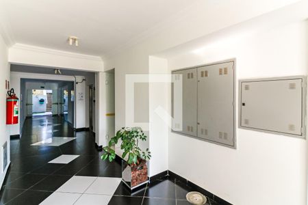 Apartamento à venda com 64m², 2 quartos e 1 vaga Apartamento à venda com 64m², 2 quartos e 1 vagaHall social
