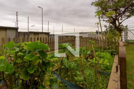 Apartamento para alugar com 58m², 2 quartos e 1 vagaHorta Comunitária