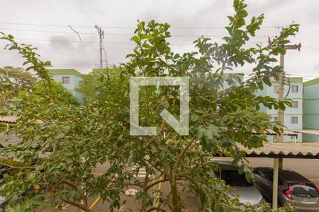 Vista do Quarto 1 de apartamento para alugar com 2 quartos, 58m² em Cidade Satélite Íris, Campinas