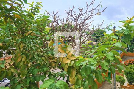 Apartamento à venda com 52m², 2 quartos e 1 vagaVista