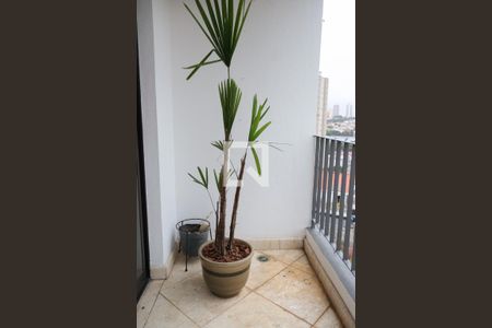 Varanda da Sala de apartamento para alugar com 2 quartos, 65m² em Vila da Saúde, São Paulo