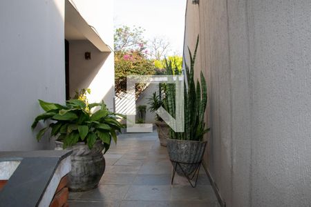 Casa para alugar com 750m², 8 quartos e 5 vagasQuintal