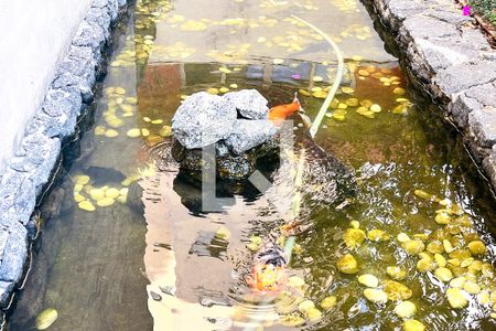 Apartamento à venda com 62m², 2 quartos e 1 vagaÁrea comum