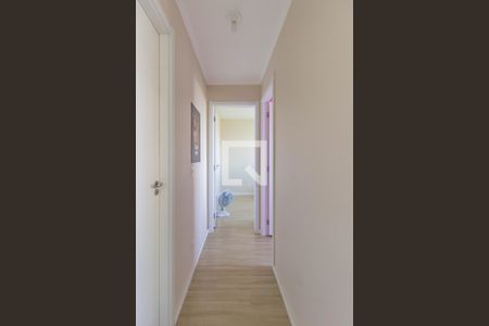 Corredor de apartamento para alugar com 2 quartos, 41m² em Jardim Esmeralda, São Paulo