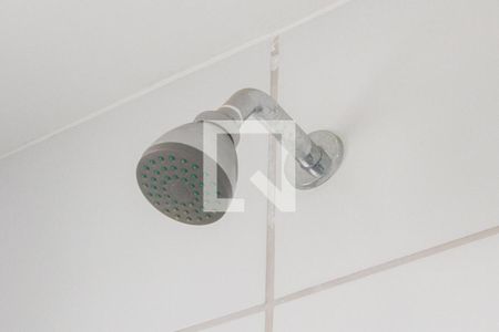 Chuveiro de apartamento para alugar com 1 quarto, 44m² em Chácara Santo Antônio (zona Sul), São Paulo