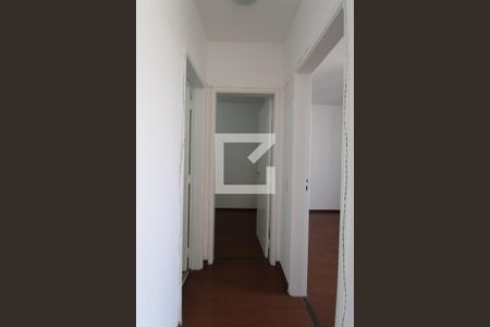 Corredor de apartamento para alugar com 2 quartos, 70m² em Centro, Campinas