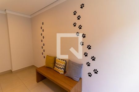 Apartamento para alugar com 40m², 2 quartos e sem vaga Apartamento para alugar com 40m², 2 quartos e sem vagaPet Care