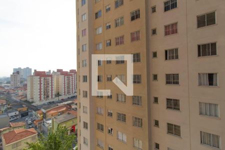 Apartamento para alugar com 36m², 1 quarto e sem vagaVista Sacada
