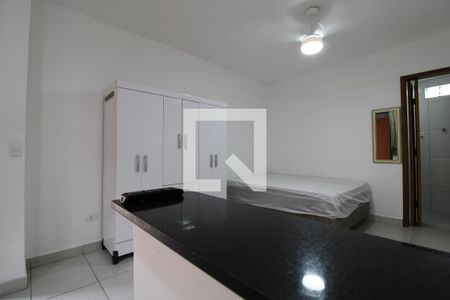 Sala/Quarto/Cozinha de kitnet/studio para alugar com 1 quarto, 30m² em Santo Amaro, São Paulo