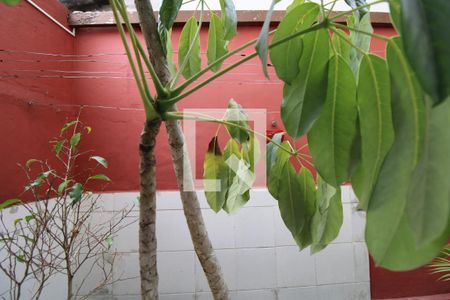 vista de kitnet/studio para alugar com 1 quarto, 30m² em Santo Amaro, São Paulo