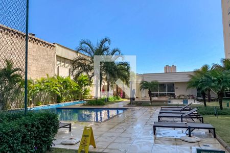 Apartamento para alugar com 74m², 3 quartos e 2 vagas Apartamento para alugar com 74m², 3 quartos e 2 vagasÁrea comum - Piscina