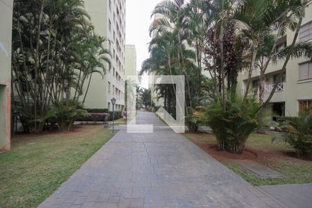 Área comum de apartamento para alugar com 3 quartos, 65m² em Vila Graciosa, São Paulo