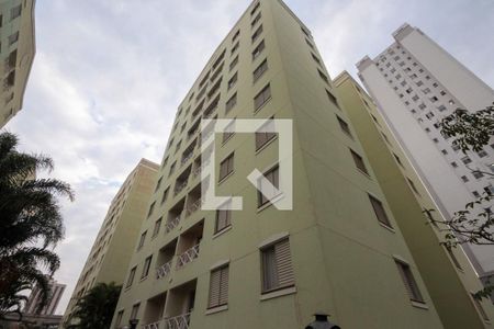 Fachada de apartamento para alugar com 3 quartos, 65m² em Vila Graciosa, São Paulo