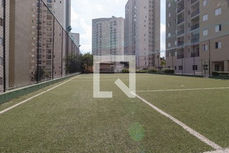 Apartamento para alugar com 51m², 2 quartos e 1 vaga Apartamento para alugar com 51m², 2 quartos e 1 vagaÁrea comum - Campo