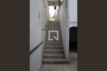 Casa de condomínio à venda com 263m², 4 quartos e 3 vagas Casa de condomínio à venda com 263m², 4 quartos e 3 vagasQuintal