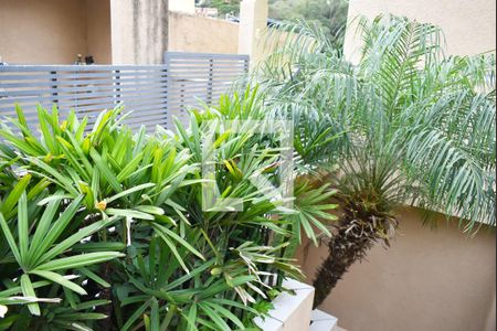 Apartamento para alugar com 38m², 1 quarto e sem vaga Apartamento para alugar com 38m², 1 quarto e sem vagaÁrea comum